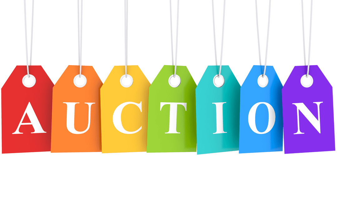 Amazon Auction Returns: A Guide for Savvy Resellers